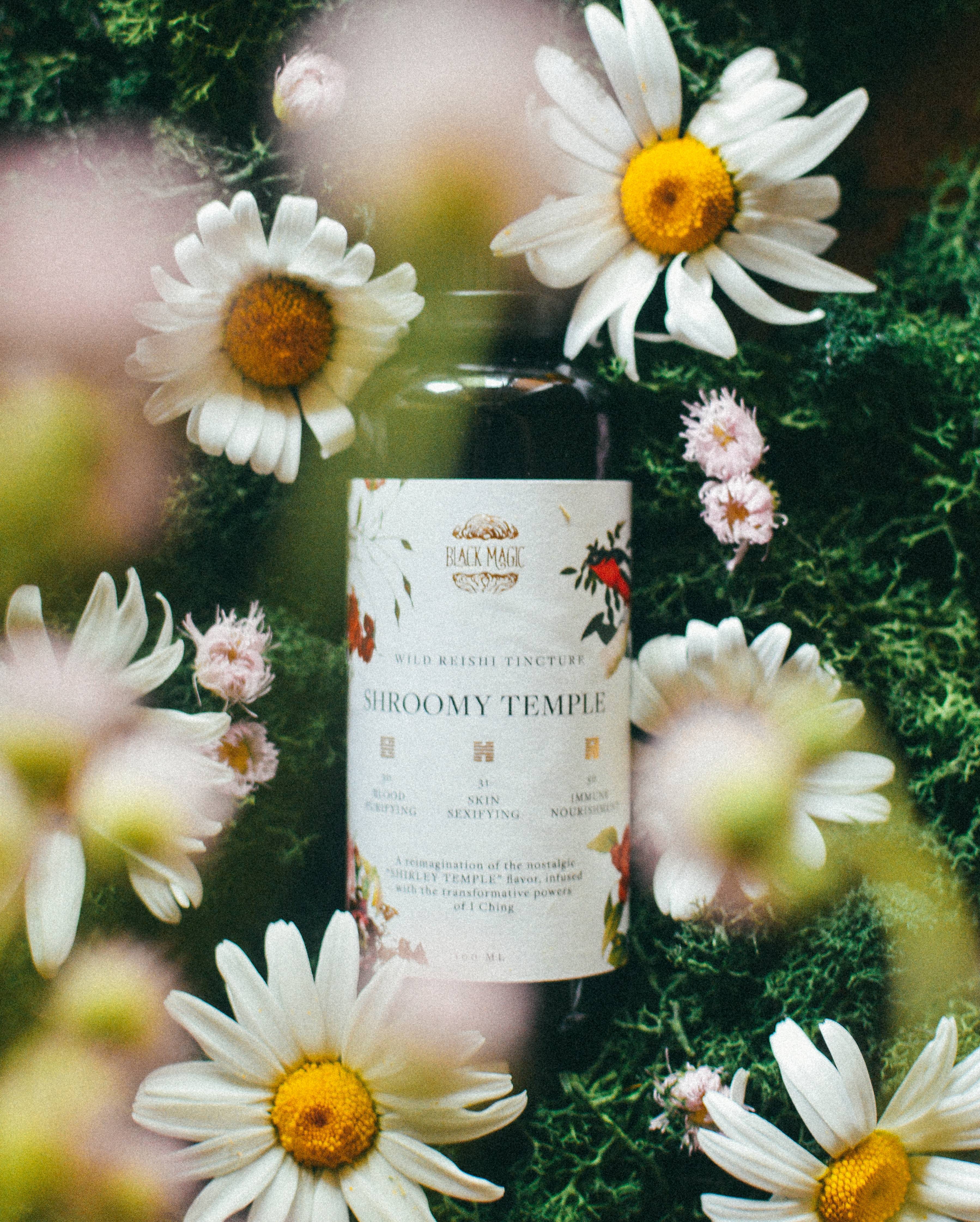 The Shroomy Temple | Wild Reishi Mushroom Tincture