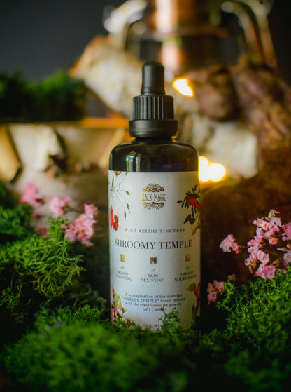 The Shroomy Temple | Wild Reishi Mushroom Tincture