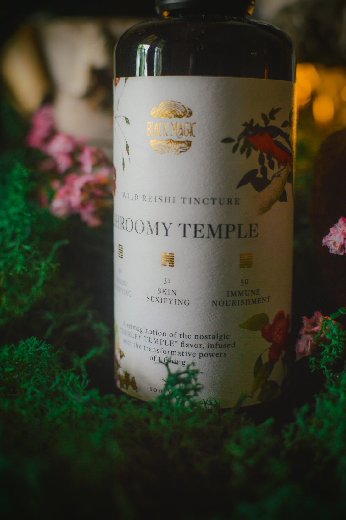 The Shroomy Temple | Wild Reishi Mushroom Tincture