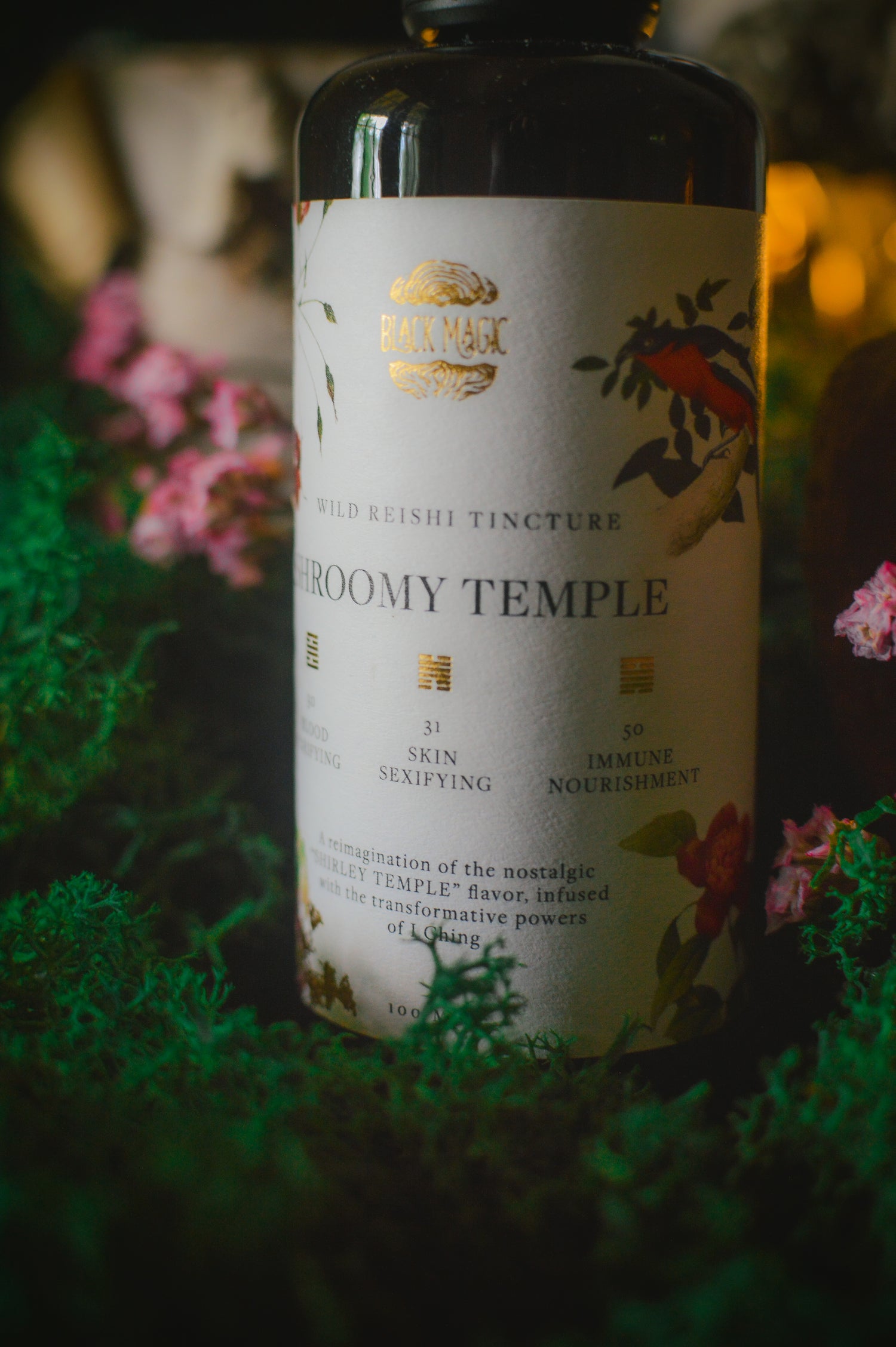The Shroomy Temple | Wild Reishi Mushroom Tincture
