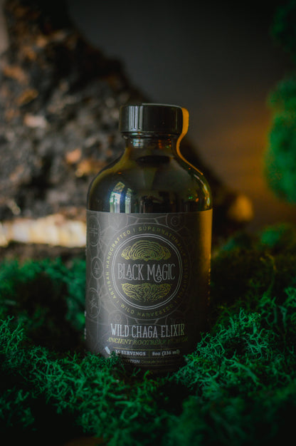 Wild Harvested Chaga Mushroom Rootbeer Elixir