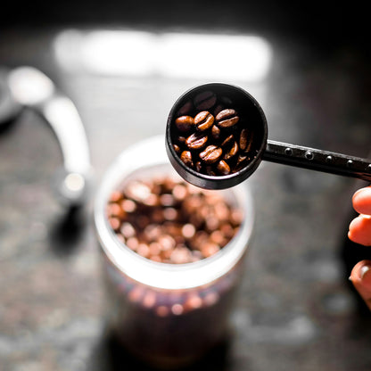 Holy Grounds Hazelnut Cream Mushroom Coffee — Organic Whole Bean