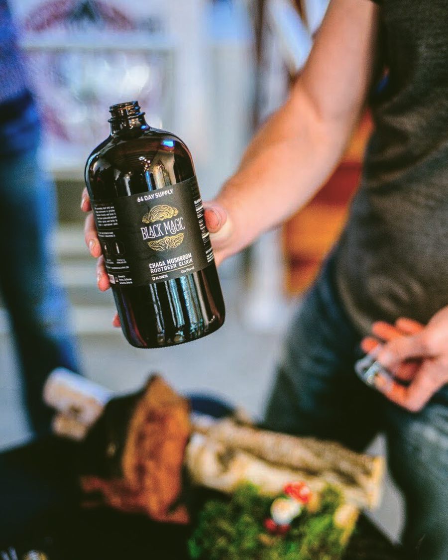 Wild Harvested Chaga Mushroom Rootbeer Elixir