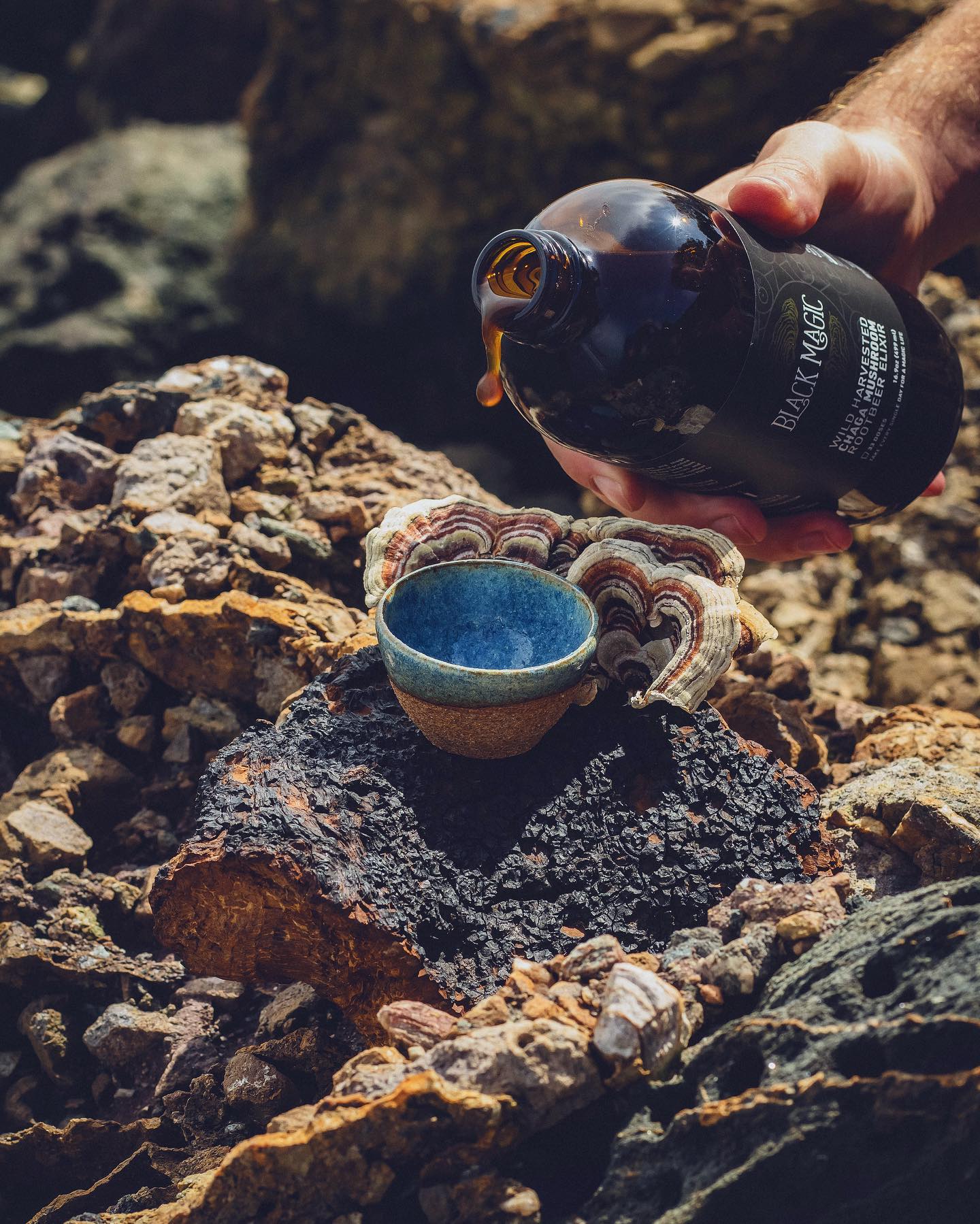 Wild Harvested Chaga Mushroom Rootbeer Elixir