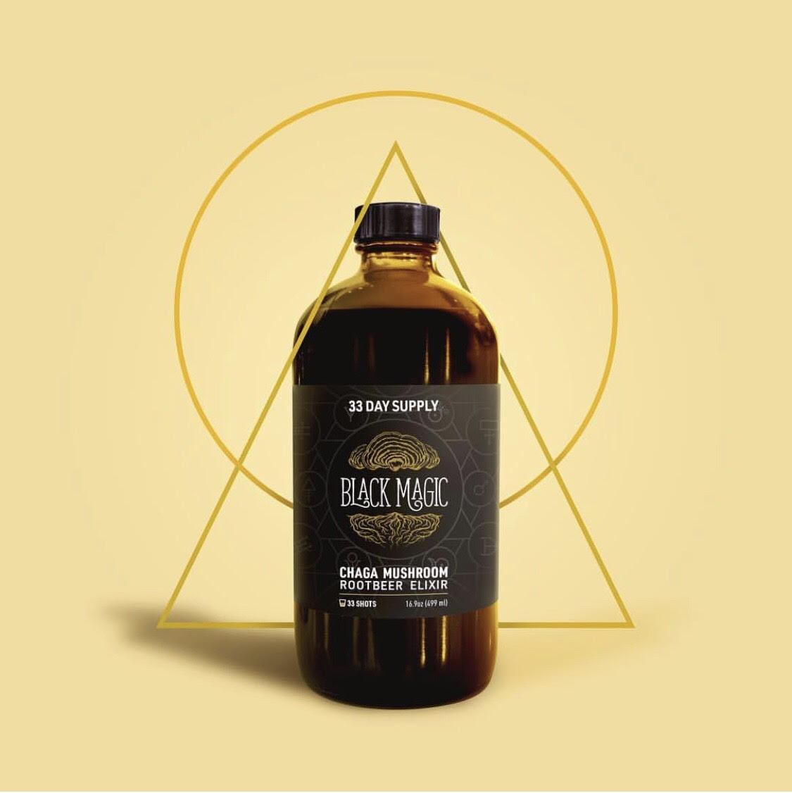 Wild Harvested Chaga Mushroom Rootbeer Elixir